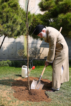 Ayatollah Khamenei, planted two fruit tree saplings this morning, March 8, 2017