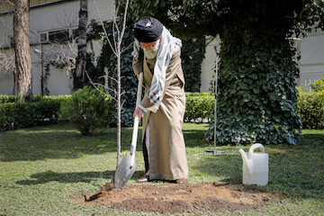 Ayatollah Khamenei planted tree saplings