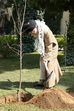 Ayatollah Khamenei planted tree saplings