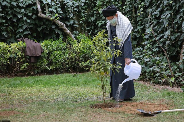 On National Tree Planting Day, Imam Khamenei planted tree saplings